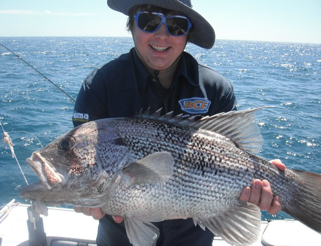 6kg Dongara Dhu